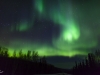 Aurora Boeralis in Alaska
