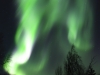 High intensity Aurora