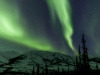 Aurora Boeralis in Alaska