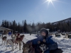 Chena HotSpring\'s musher (the person who leads the dog sled)  with her alpha dogs.
