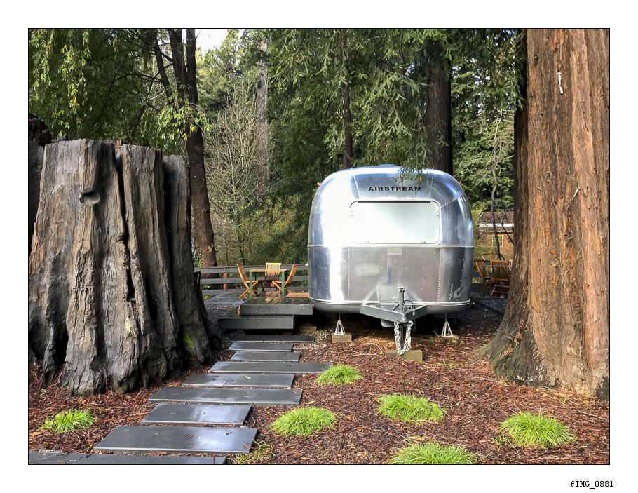 2017 in 10 images IMG 0881 910x703