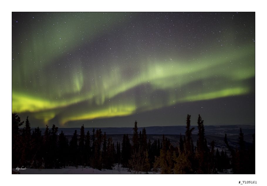 2017 in 10 images V109161 910x634