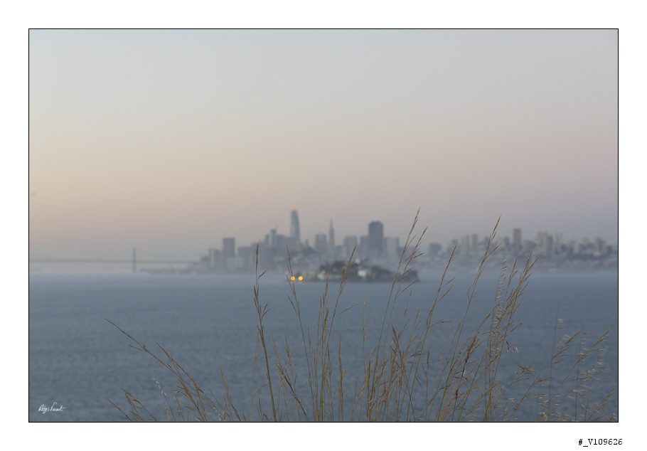 2017 in 10 images V109626 910x634